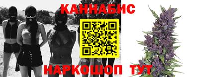 mdpv Можга