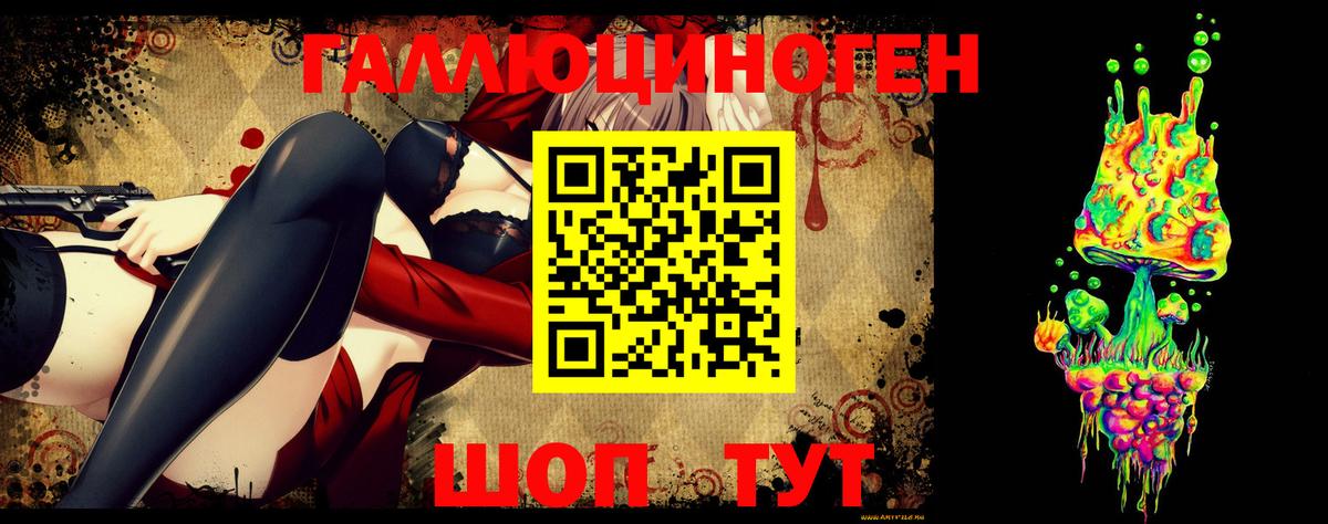 Сокол  Галлюциногенные грибы MAGIC MUSHROOMS  Вход с VPN 