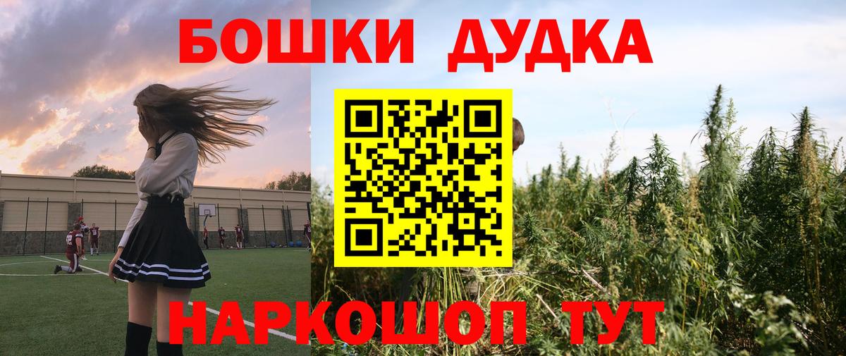 Бошки Шишки MAZAR Сокол